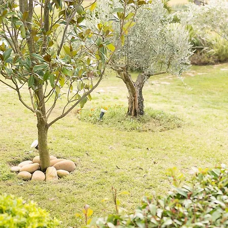 #flh Lemon Tree 1 Villa Kallithea (Chalkidiki)