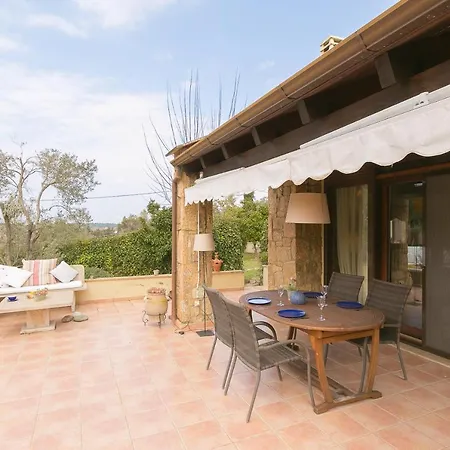 #flh Lemon Tree 1 Kallithea (Chalkidiki)